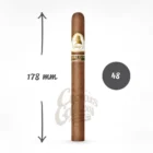 Ένα Ultra-Premium πούρο από την σειρά Winston Churchill The Late Hour της Davidoff. Τα πούρα παρασκευάζονται στον Άγιο Δομίνικο.