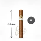 Ένα Ultra-Premium πούρο από την σειρά Winston Churchill The Late Hour της Davidoff. Τα πούρα παρασκευάζονται στον Άγιο Δομίνικο.