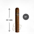 Το Robusto της Quorum είναι ένα απαλό και γευστικό με μέτρια ένταση. Το filler και το binder είναι από τη Νικαράγουαενώ το wrapper είναι Ecuador-Sumatra.