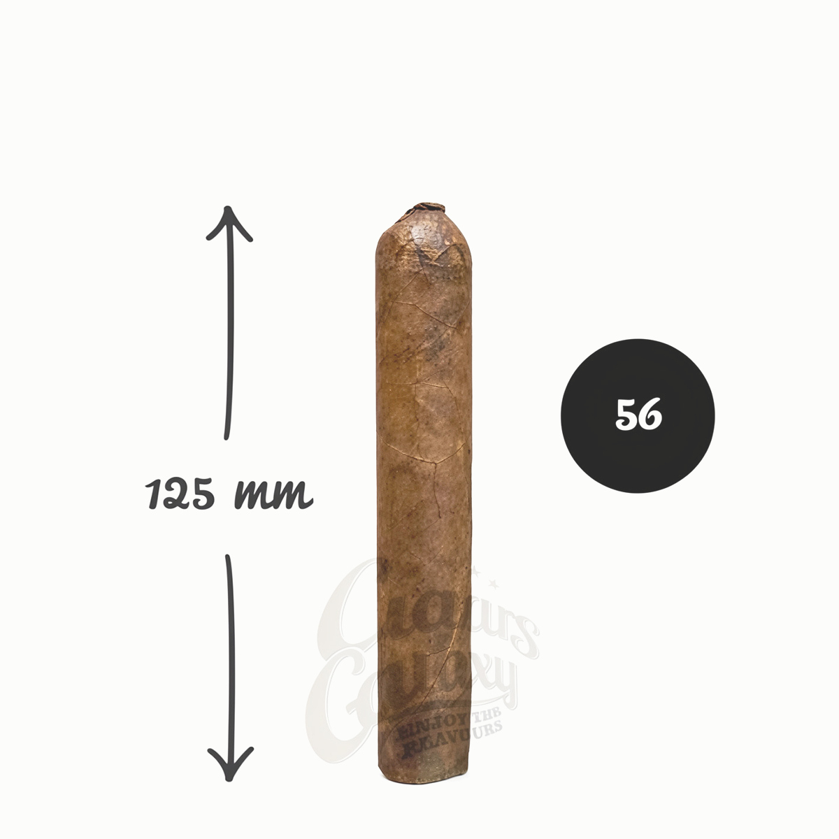 anonymous_nica56_1