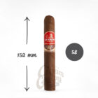 Η La Aurora δημιούργησε την σειρά Tobaccos Of The World, ξεκινώντας ένα ταξίδι που θα μας φέρει κοντά σε γεύσεις καπνών ανά περιοχές του κόσμου.