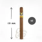 Cohiba πούρο μεγάλο Linea Siglo V γεύση σοκολάτα βανίλια