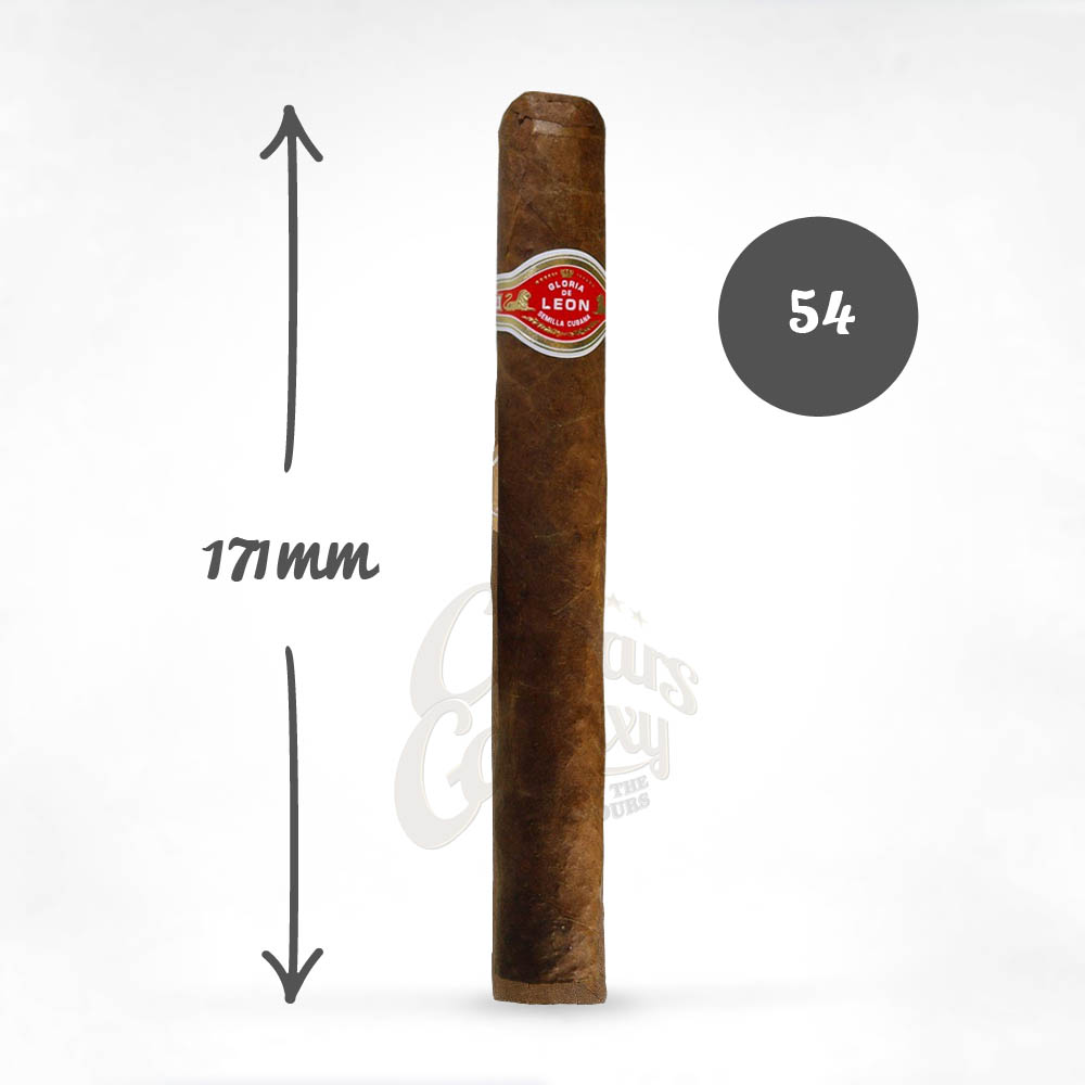gloria_de_leon_prominente_stick.jpg