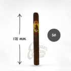 LA AURORA 1495 – Churchill