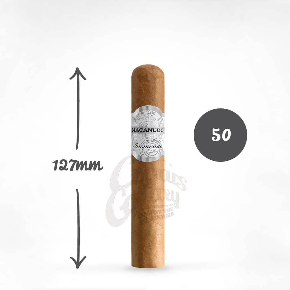 macanudo_white_robusto_pouro.jpg macanudo white robusto πούρο