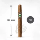 JOYA DE NICARAGUA - Silver Robusto