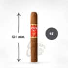 Red Short Churchill πούρο Νικαράγουας