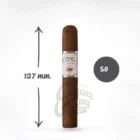 JOYA DE NICARAGUA - Silver Robusto