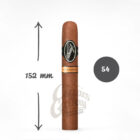 Ένα Premium πούρο από την Davidoff, το Nicaragua Diadem παρασκευάζεται στον Άγιο Δομίνικο με 100% Nicaraguan καπνά.