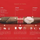 πούρο davidoff σε σχήμα perfectos