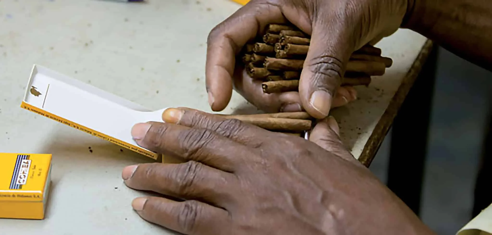 cigar cigarillo production box