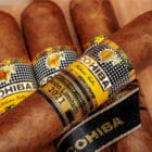Cohiba 55 Aniversario Edition Limitada 2021, Κουβανέζικα πούρα