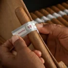 VEGAFINA - Classic Line Robusto, πούρο, πούρο, δύο χέρια που φτιάχνουν ένα πούρο