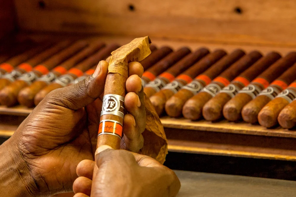 VEGAFINA - Nicaragua Robusto πούρο, δύο χέρια που φτιάχνουν ένα πούρο