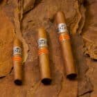VEGAFINA - Nicaragua Robusto πούρο