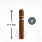 LOS FUMADORES - Inspirio Robusto πούρο, ρομπούστο