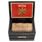 J.C. NEWMAN - Yagua πούρο μέσα σε ξύλινο καφέ κουτί