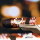 MACANUDO - Vintage Maduro 2013 Toro Grande Limited Edition