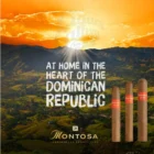 ARNOLD ANDRE DOMINICANA - Montosa Robusto πούρο