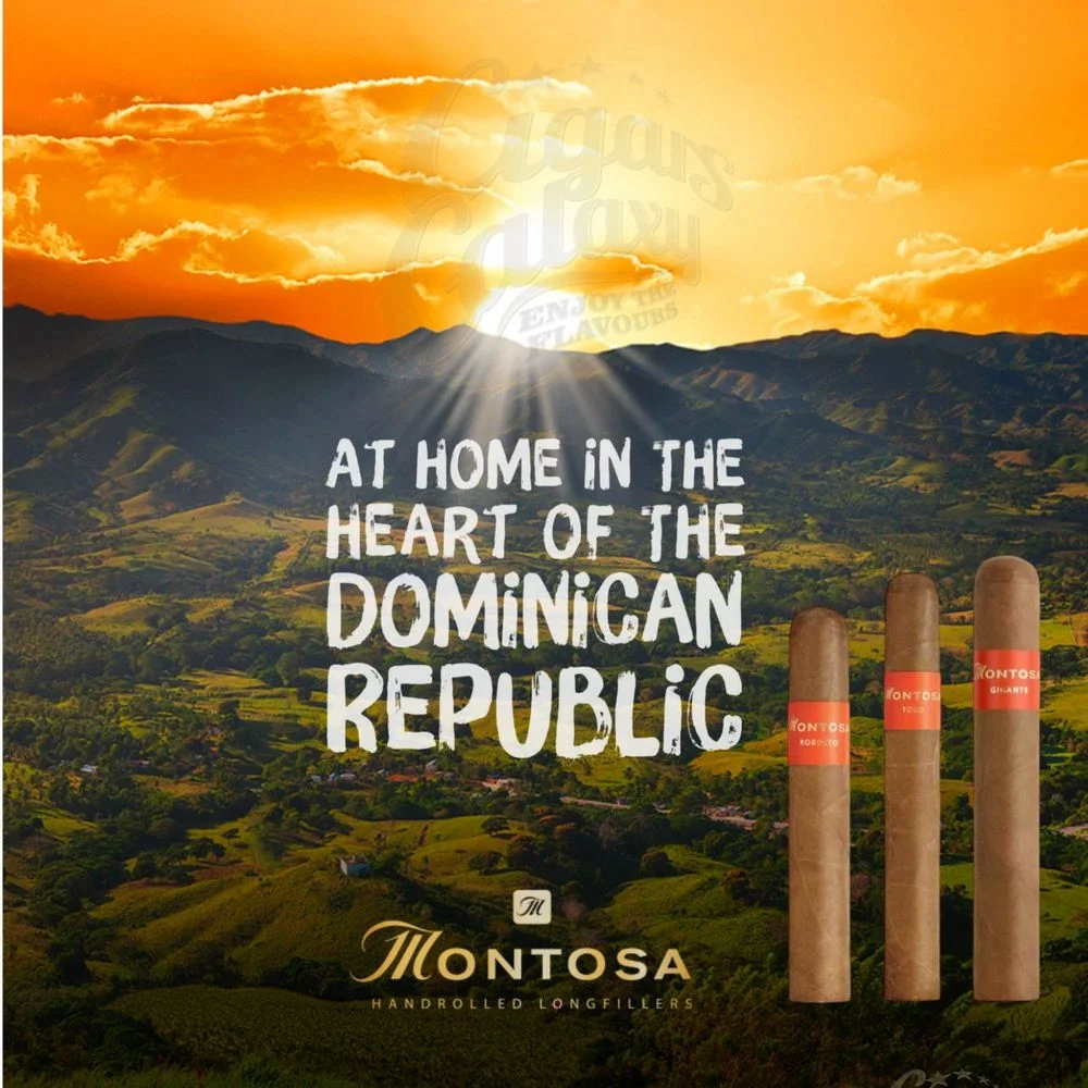 ARNOLD ANDRE DOMINICANA - Montosa Robusto πούρο