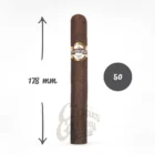 Ένα πούρο PUROS SANTA CLARA - Veracruz Premium Cigar Churchill