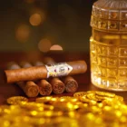 CAO - Gold Robusto