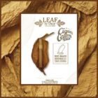OSCAR VALLADARES - Leaf by Oscar Valladares Corojo Robusto Διαφημιστικό εξώφυλλο
