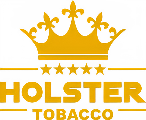HOLSTER