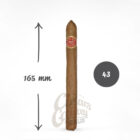 Το Arturo Fuente Curly Head Deluxe Natural αποτελεί ένα από τα πιο προσιτά και αξιόπιστα πούρα της οικογένειας Fuente, εκφράζοντας τη φιλοσοφία της μάρκας.