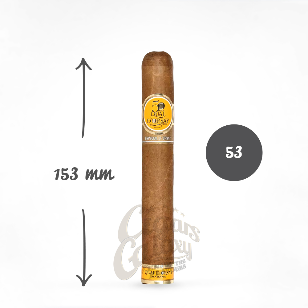 especial_d'orsay_1