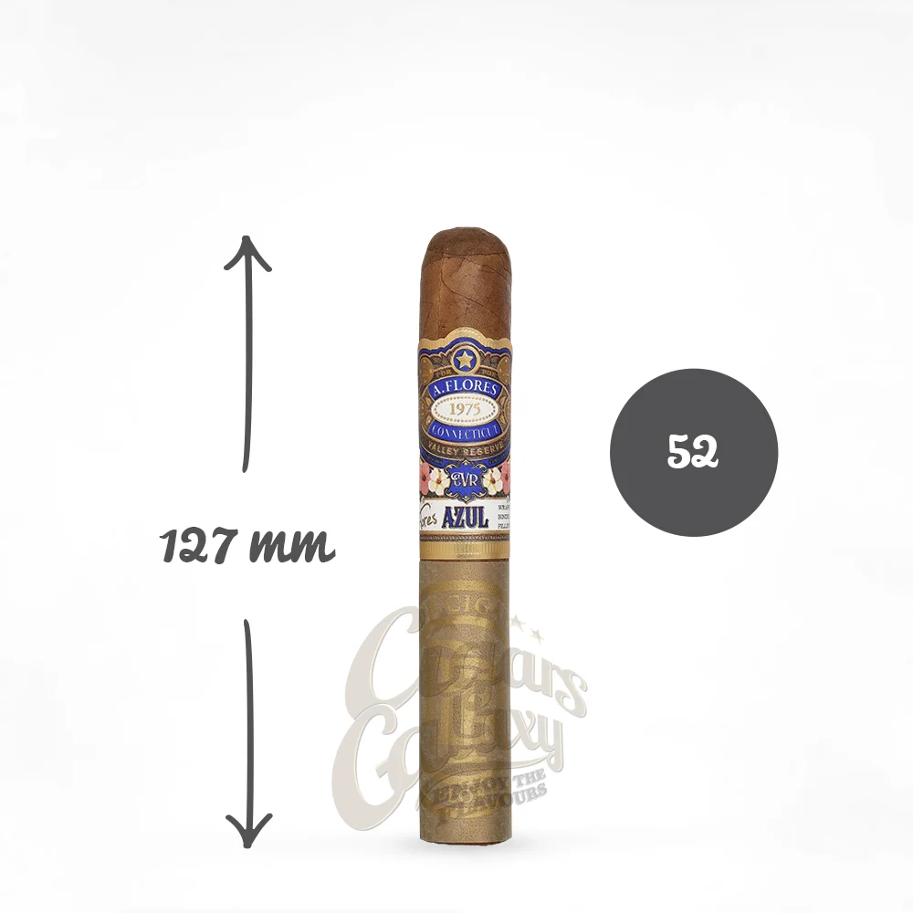 pdr_azul_robusto_1