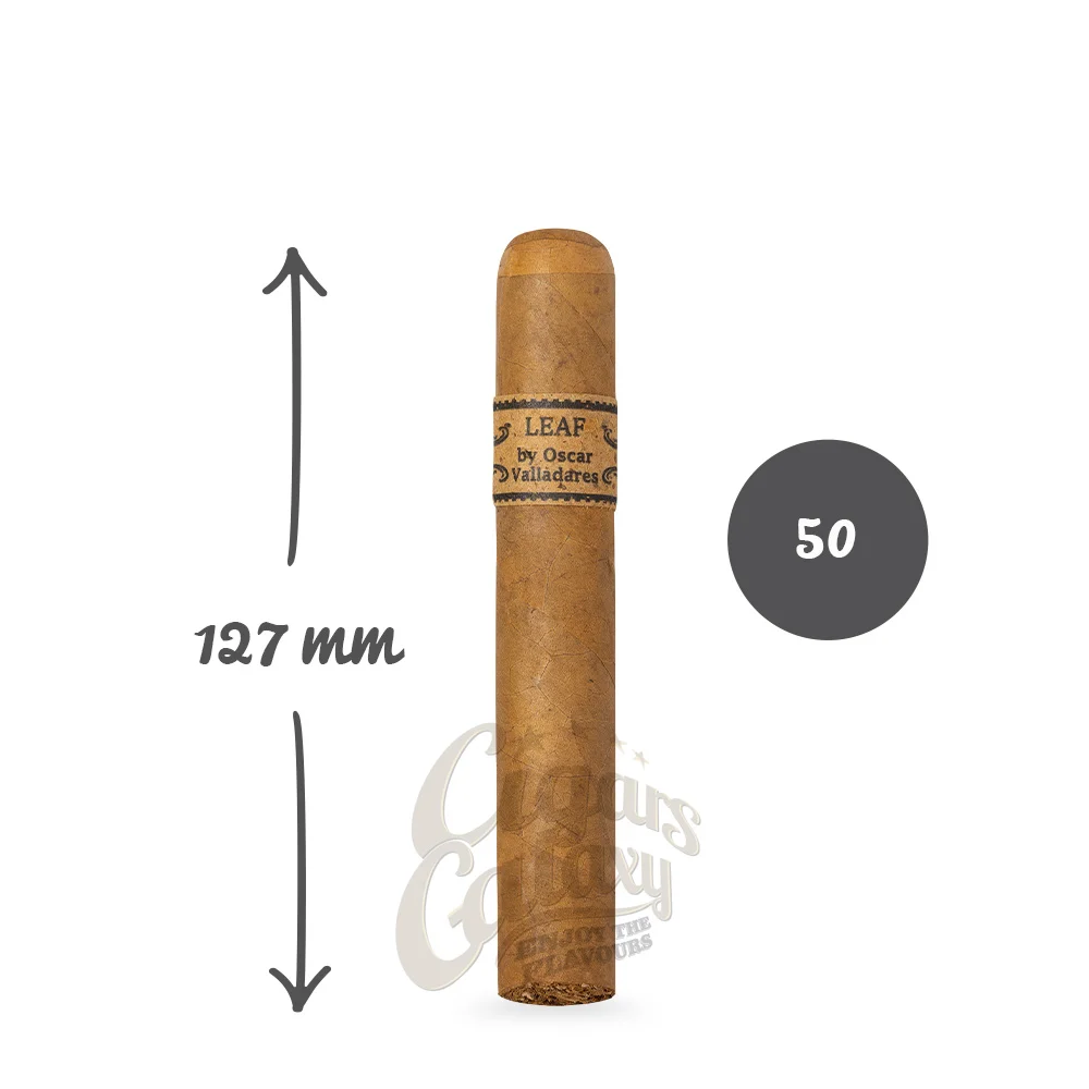 oscar_valladares_leaf_connecticut_robusto_1